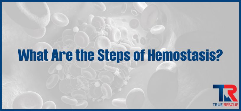 What Are the Steps of Hemostasis? Coagulation Overview