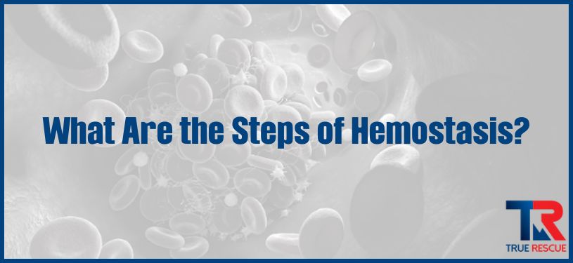 steps of hemostasis